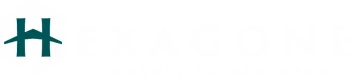 LOGO HEXAGONE AVIATION CONSULTING PARTNERS